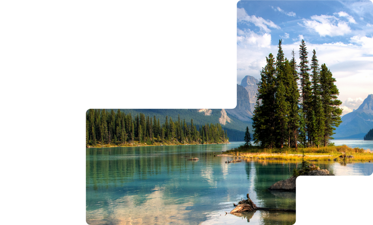 Tall trees on an island in the middle of a lake in Alberta