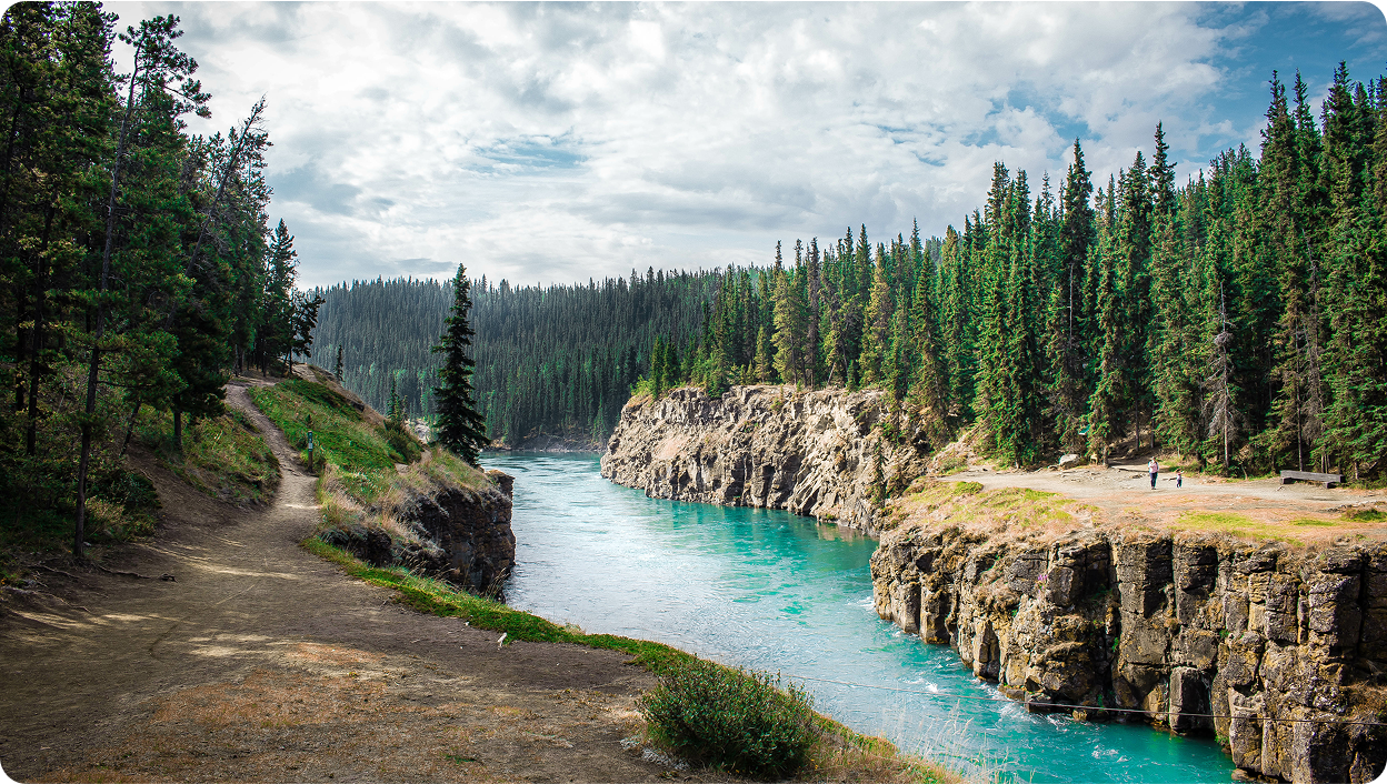 A photo of a river in the middle of a forest in Alberta.